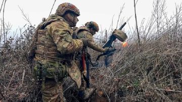 На Украине началось «пасхальное перемирие»: сводка событий в зоне СВО