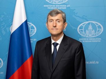 Российский посол рассказал о попытках вербовать доминиканцев в ряды ВСУ