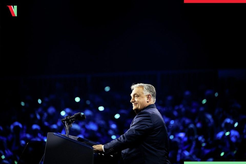 "���� ����������": �� ������ ��������, ��� ��������� ������� ���� ������