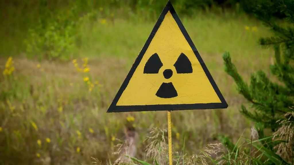 В Чернобыльской зоне отчуждения выращивали пшеницу по решению несуществующего совета