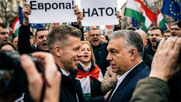 ����� �������� �������: �����, �� ��� ������ ���� �����. ������� ��� ��������� ������