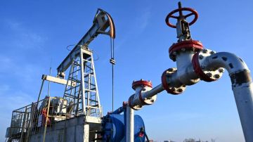 ��������� ������� �� ����� "���� �����" �������� ��������� � 2004 ����