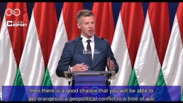 ������� ��������� �������� ����� � ������, ������ ������