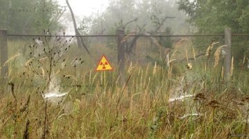 ���������� ����������� ������� � ���������� ����������� ������� � �������� �