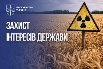 В Чернобыльской зоне с 2020 года незаконно выращивают пшеницу и кукурузу с помощью решения несуществующего райсовета