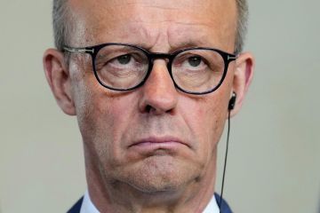 В Совфеде прокомментировали слова Мерца о финансах России