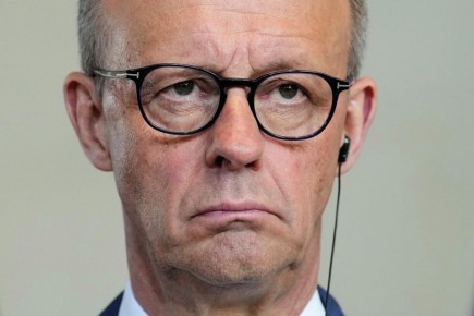 В Совфеде прокомментировали слова Мерца о финансах России