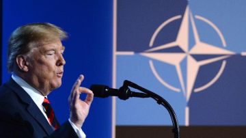 "Европу лишили разума": Школьников о том, почему США бросают НАТО и что ждёт Россию в Арктике