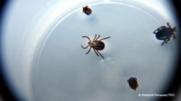 ������� ������� ������������ � �������������� ������ � ������������ �� �������� ����