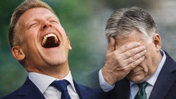 Заявление Мадьяра об Украине ошеломило Польшу. Так России к этому готовиться? Вот тебе и на