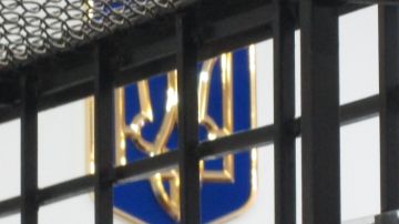 Украинский суд встал на сторону бывшей девушки Моргенштерна*, которая не заплатила налоги