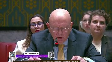 Выступление постоянного представителя России при ООН Василия Небензи на заседании Совета Безопасности по взаимодействию ООН с ЕС