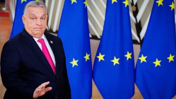 Politico предположила, кто займет позицию Орбана по Украине в ЕС