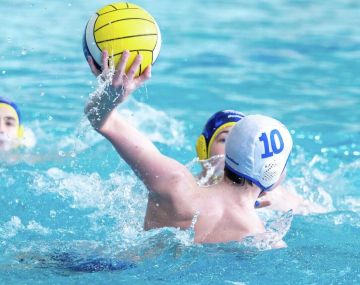 Федотов прокомментировал ситуацию с Украиной на Кубке мира