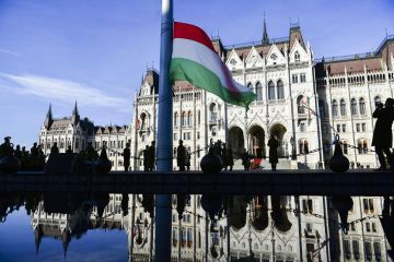 Венгерские СМИ допустили вмешательство Украины в выборы