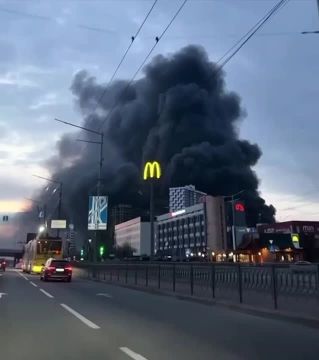 ���� ����� ��������