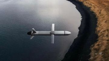 Владислав Шурыгин: Германская группа Rheinmetall сообщила о соглашении с находящейся в Нидерландах компанией Destinus о создании совместного предприятия Rheinmetall Destinus Strike Systems во второй половине 2026 г. СП будет...