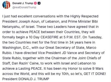 Юлия Витязева: Знаем мы эти «перемирия»…. Нетаньяху и Зеленский - одного поля ягоды