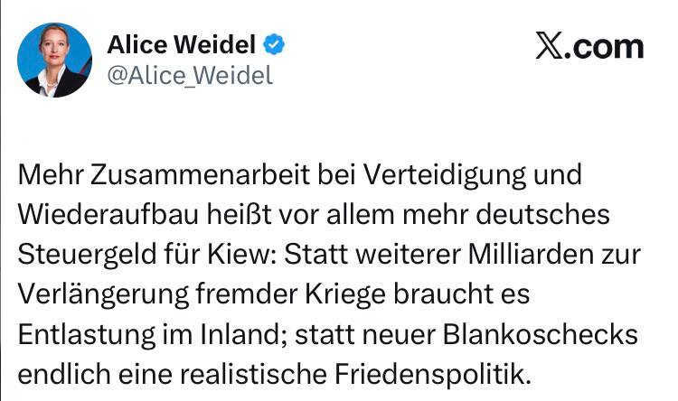 Лидер «Альтернативы для Германии» Алис Вайдель - раскритиковала визит Зеленского в Берлин: