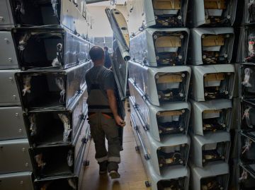 ��� ���������� �������� ������ �� ������ �� �������