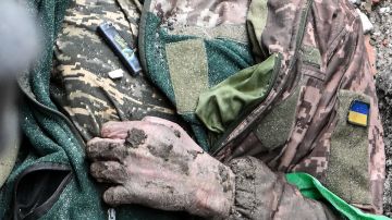 "�������� ������ �������� ����� ��� ��" � ��������� �������