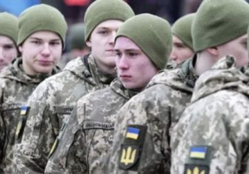 ����������� �� ������� �� ���� �������� ��������� � �������������