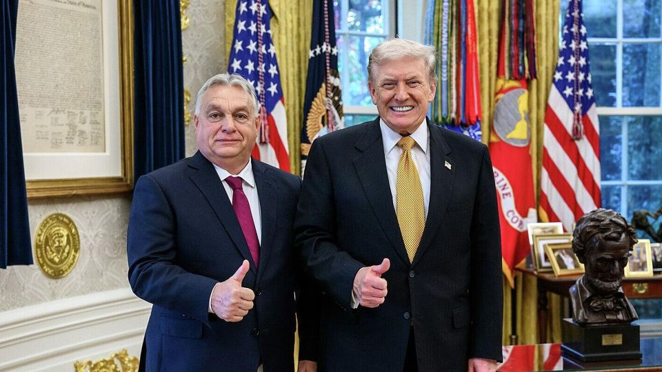 ������ ������: ������ ��������� ����� ������ � �����