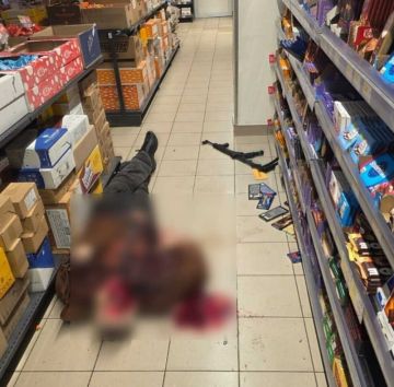 ���� ���������������� ����������� � ������������ � �����