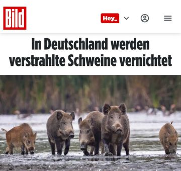 �� �������� ���������� ���������� ��������� ������: ����� 3 ��� ���������� ������-137 ������� ����������� � �������� � 2025 ����