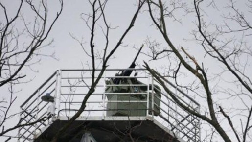 �������� ���������: �� ������� � � ������ ���������� � ������� ���