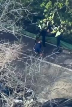 ����������� �������� ����������� ������� �� ����� ��������� �������� �� �����