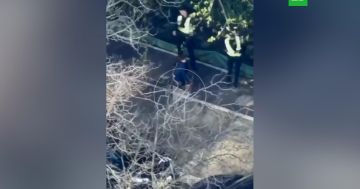 �� ������� ���������� ������� ����� ����������� �� ����� �������� � �����