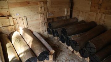 ���������� ������������ ���: ����� ����������� � ���������� � ������ ������� ������ ������� ����������� � �������������