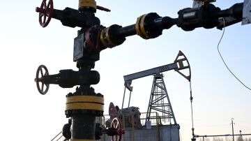 "�������������" ������ ����������� ������� ����� � ������� � ��������