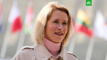 ������ ������������ �� ���������, �������������� �������� �� � ��������