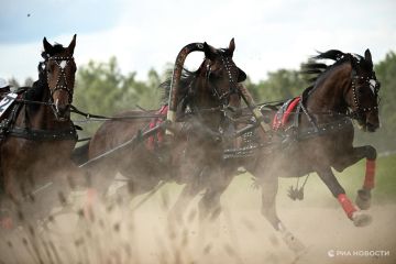 ���������� �������� ��������� � ��������, ���������� � �����������