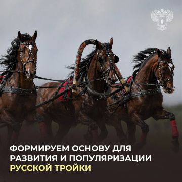 ���������� �������� ������� ������