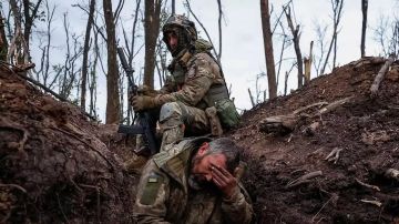 ��� �������� � ������� ������ �������. ������� ���