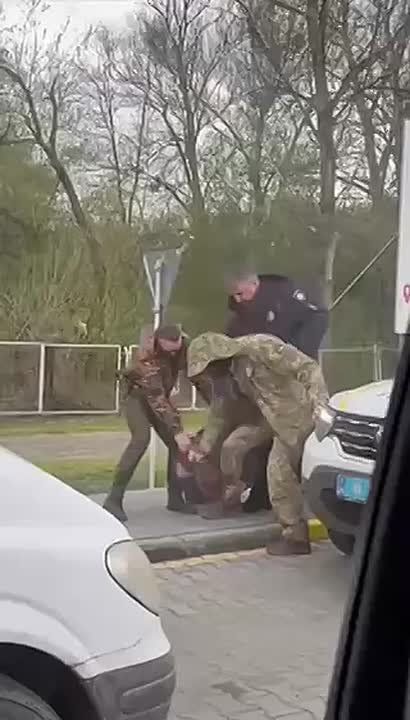 ���� "�����������" �� ������� �������� ���