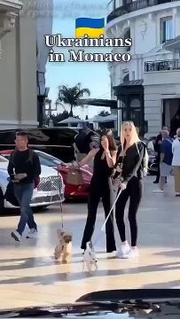 ��� ��� ������������� ��� ����, ��� ������ �������� 90 ���������� ���� �������