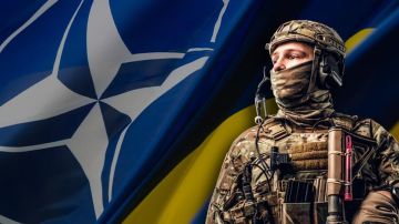 ��������������� �������� ������� � ��: ������ � ������ ������� �������� ������ �� �����