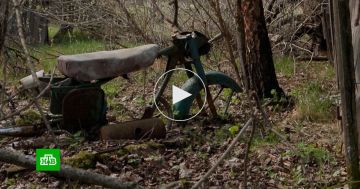 �������� �� ������������� ���: ������������ ������������ ������