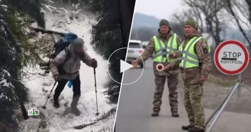 ���� ��� ����: ���������� ��������� � ������ ��� ����� �������� �������