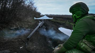 �������� ���� � �����������: �� �� �������� ������� ������������ � �������������� �������������� �������