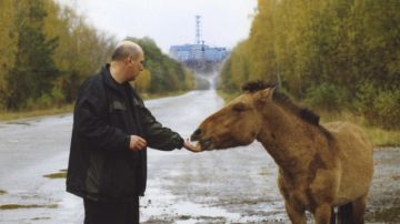 �������� � ��� ����� ������� ����������: ��� �� 40 ��� ���������� ����� � ����� ������������� ���� ����������