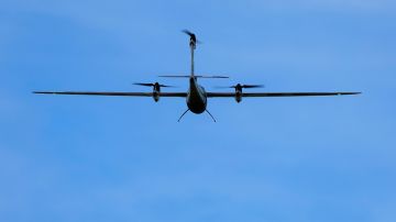 � ������ �������� ������� ������������� ���������