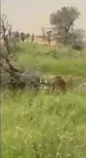 ���� ������ ����������� �����, �� ������� ������� ��� ���������� ����������� � ������ ����� ������ ����, ��� ����� �����, ������� �� ����� � ������ 2023 ����