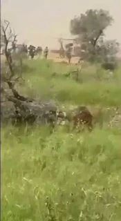 ���� ������ ����������� �����, �� ������� ������� ��� ���������� ����������� � ������ ����� ������ ����, ��� ����� �����, ������� �� ����� � ������ 2023 ����