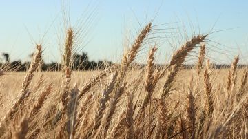 ����������� ��� ����� ������� �� ��������� ����� � ������� ����� �� ��