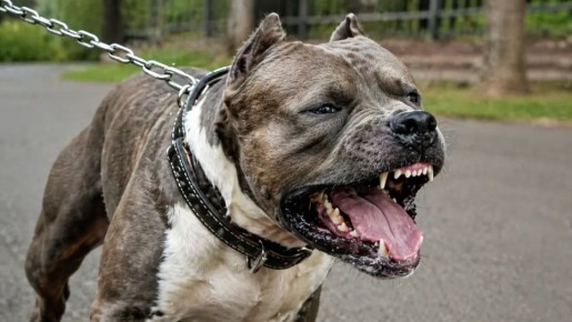 ������� ���� ����. �������� ������� �������� � �����. ����� �������� ������, �������� ���� ����